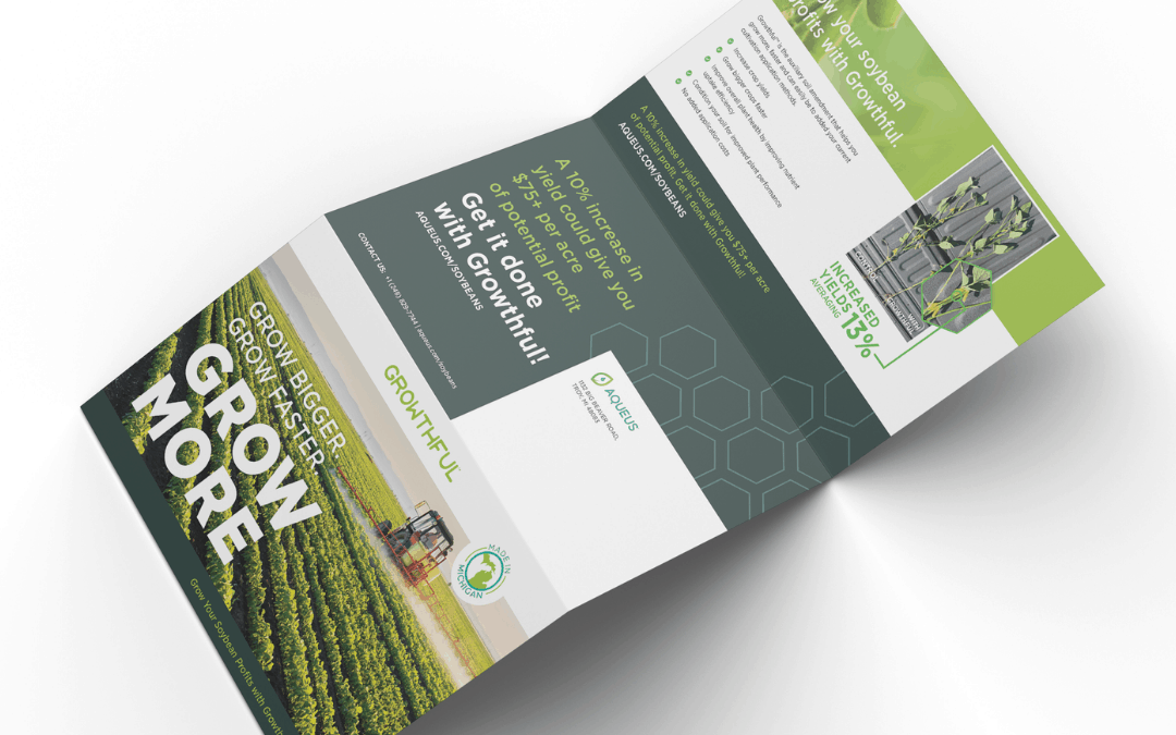 Soybean Mailer Campaign